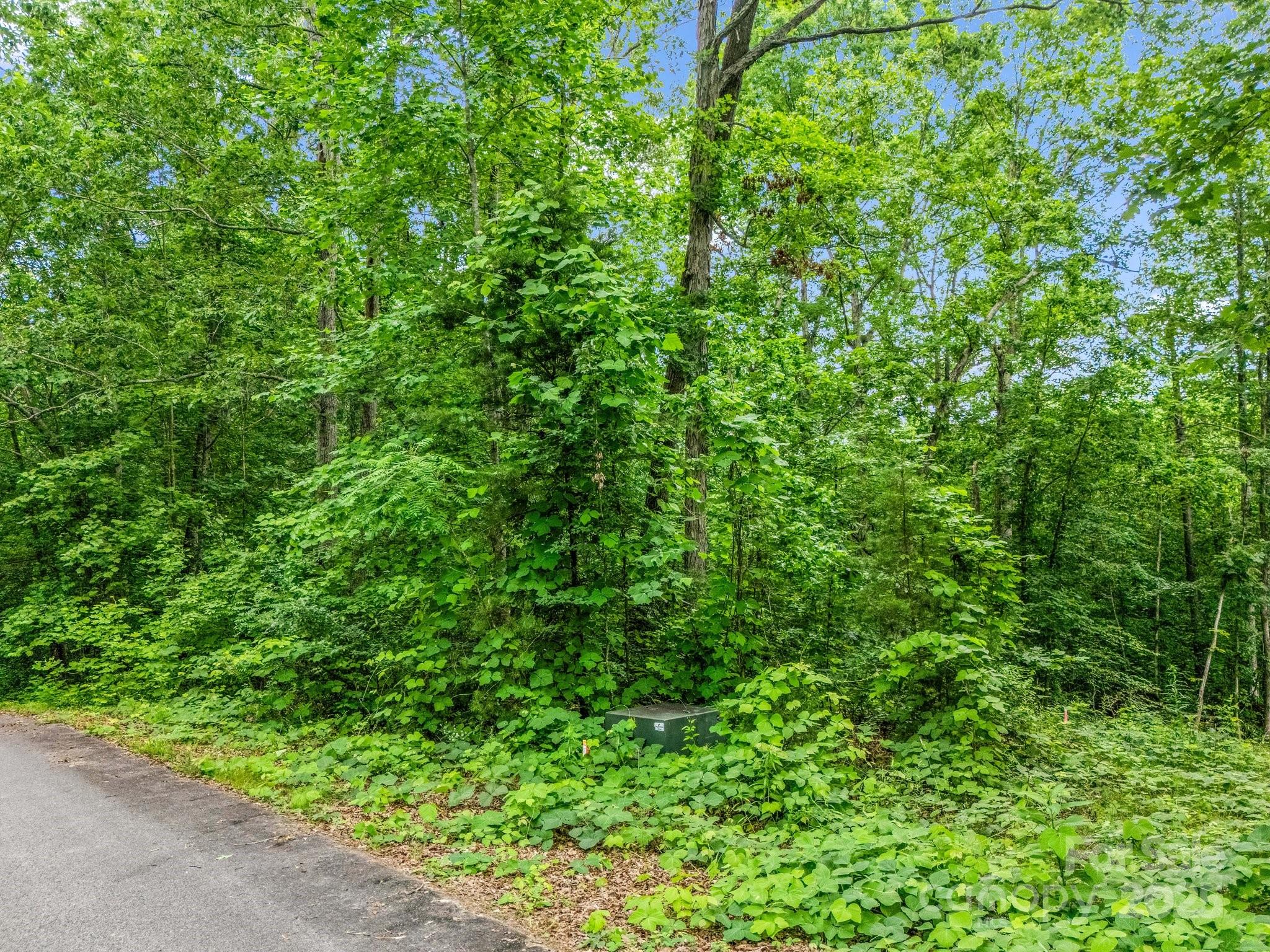 0 Hutchins Drive, Unit 14 15 Rutherfordton, NC 28139 - Photo 24 of 26 a view of a lush green forest