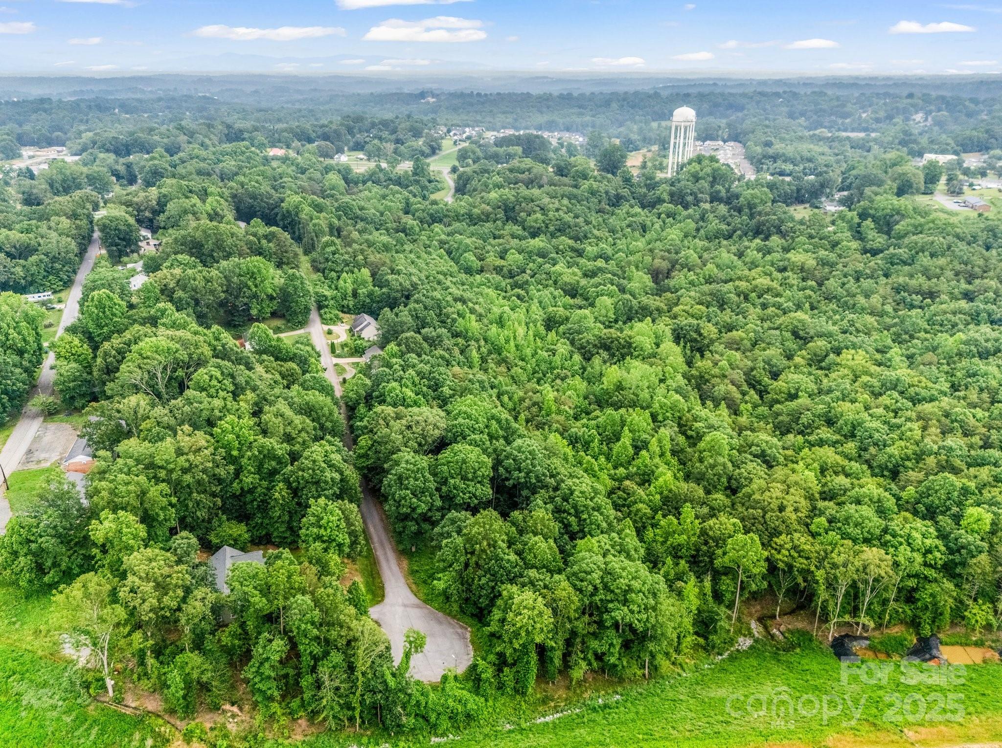 0 Hutchins Drive, Unit 14 15 Rutherfordton, NC 28139 - Photo 5 of 26 a view of a city with lush green forest