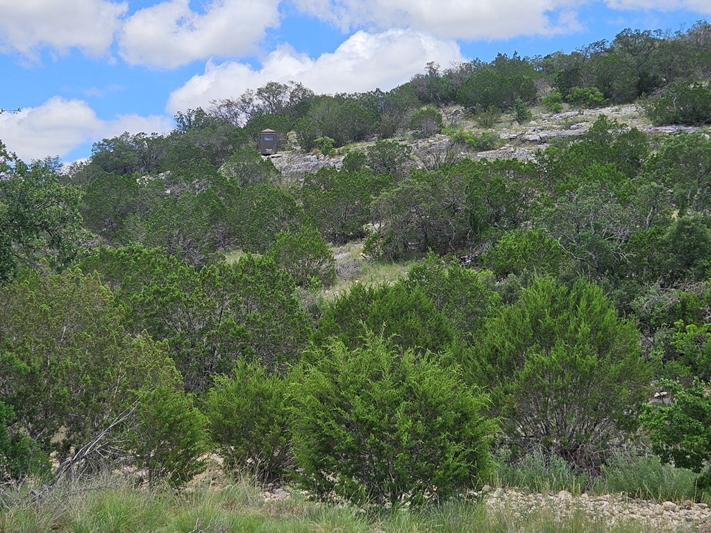 1100 Sd 45405 Rocksprings, TX 78880 - Photo 12 of 26 a view of a city with lush green forest