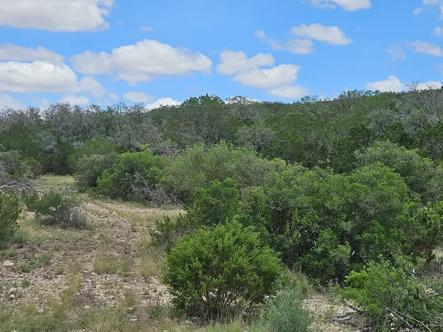 a view of lake with mountain