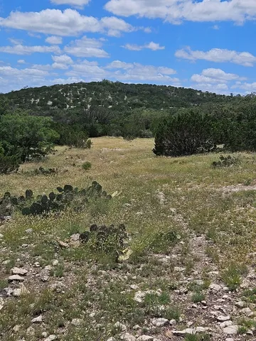 a view of an outdoor space and yard