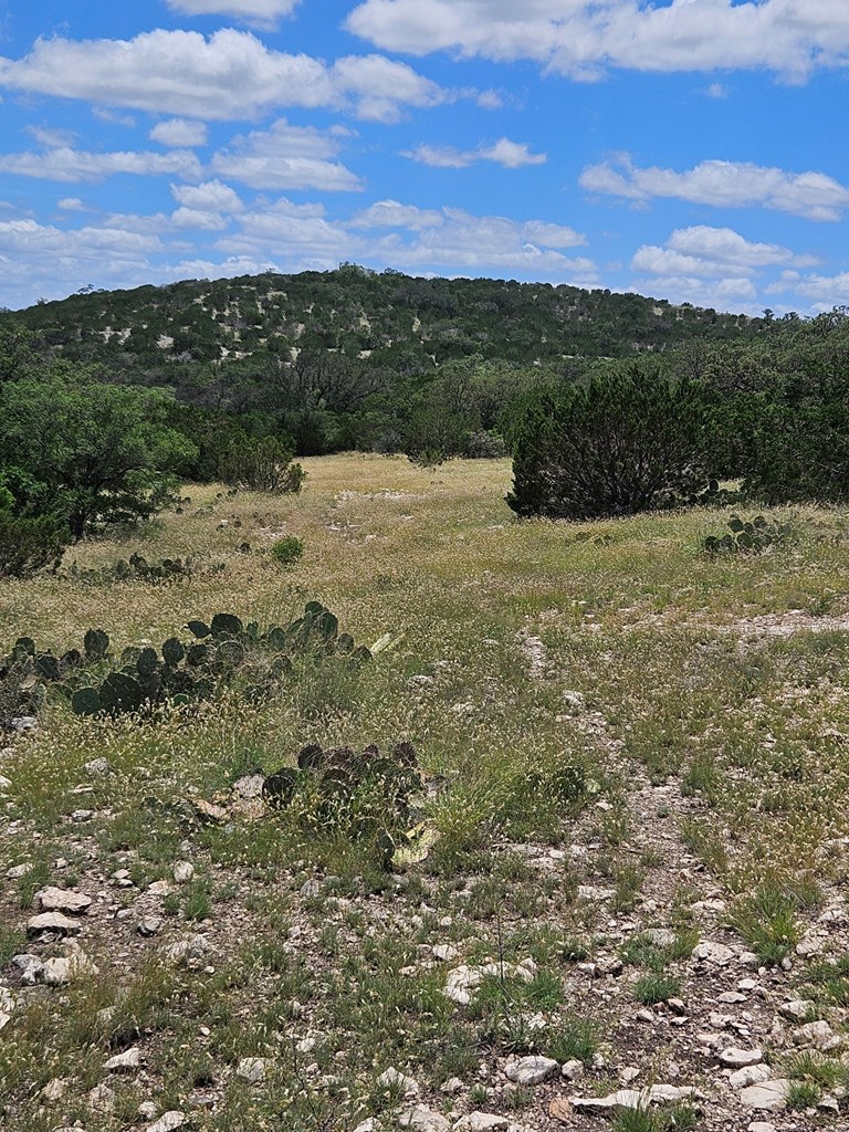 1100 Sd 45405 Rocksprings, TX 78880 - Photo 14 of 26 a view of lake with mountain