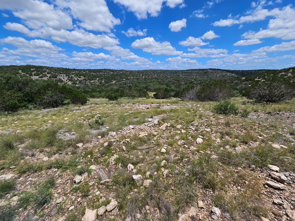 1100 Sd 45405 Rocksprings, TX 78880 - Photo 16 of 26 a view of a yard