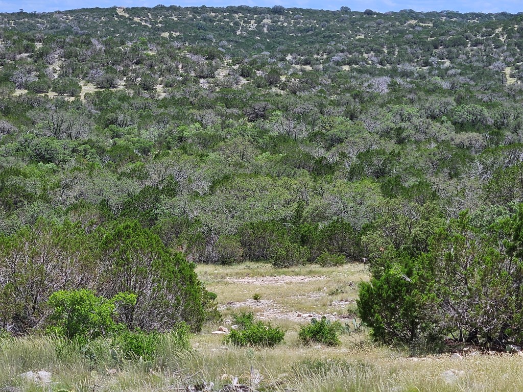 1100 Sd 45405 Rocksprings, TX 78880 - Photo 17 of 26 a view of a forest with a street