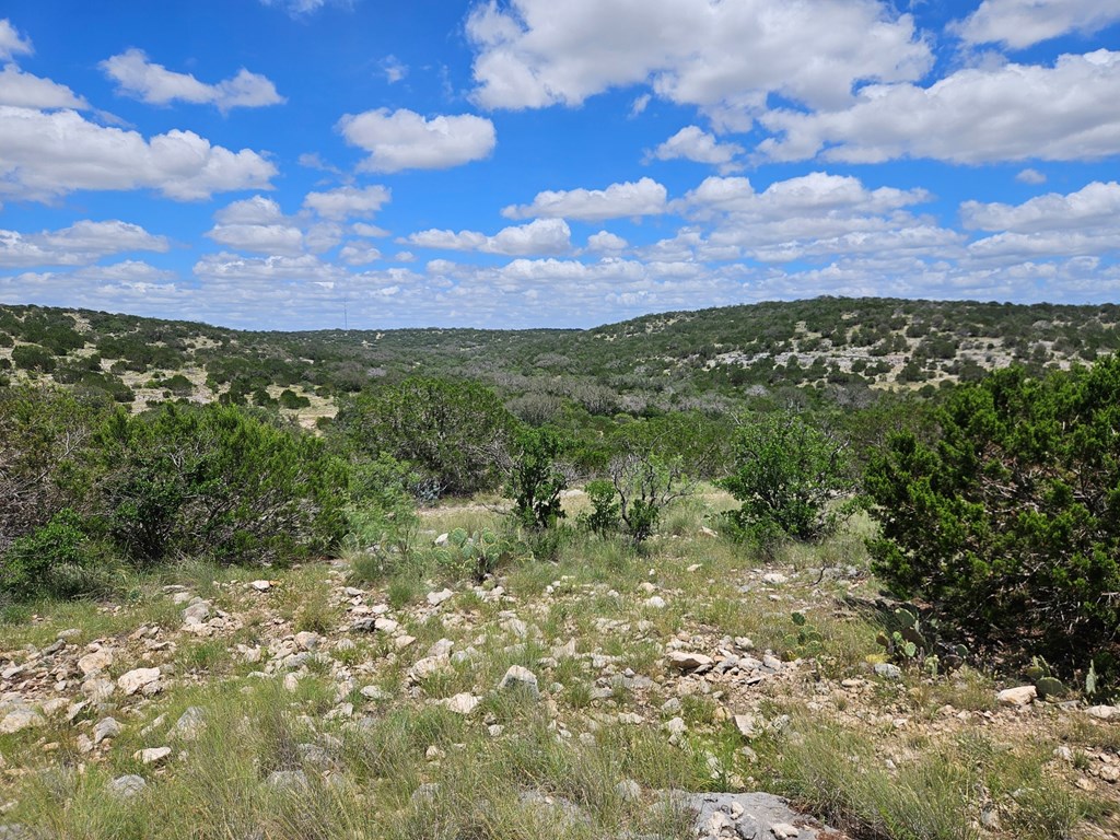 1100 Sd 45405 Rocksprings, TX 78880 - Photo 18 of 26 a view of a city