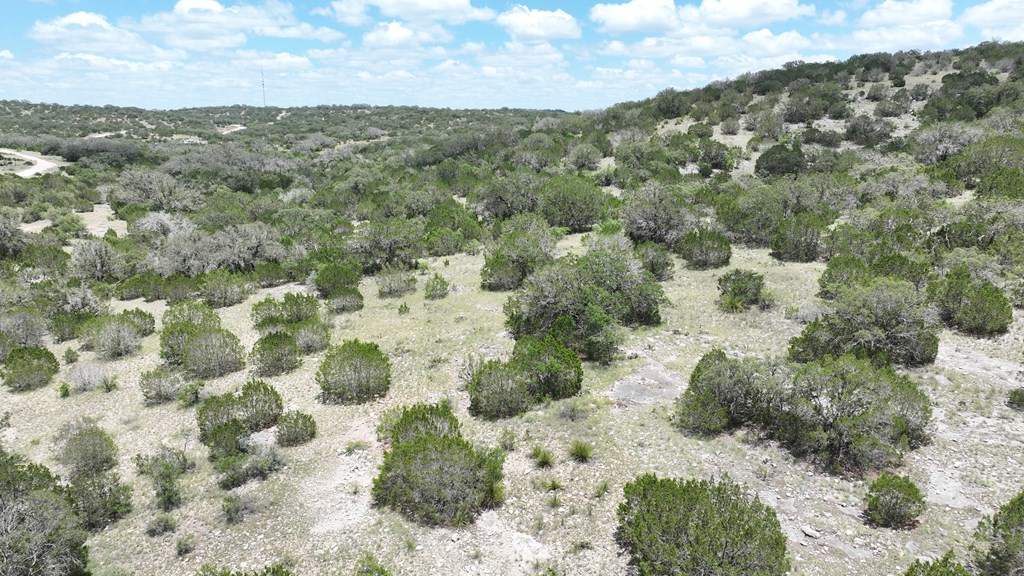 1100 Sd 45405 Rocksprings, TX 78880 - Photo 24 of 26 a view of a yard with a yard