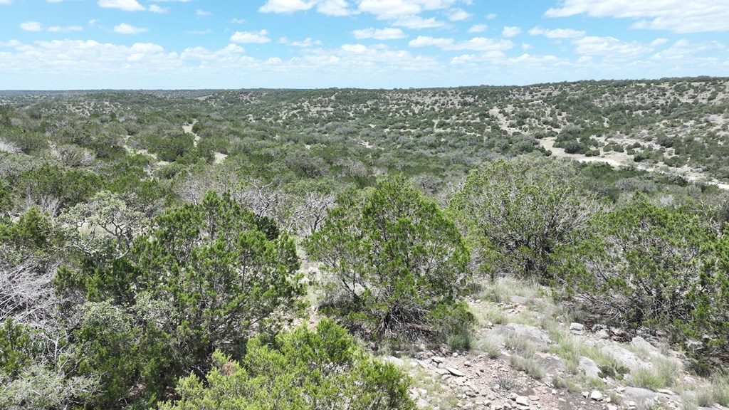 1100 Sd 45405 Rocksprings, TX 78880 - Photo 25 of 26 an aerial view of residential houses with outdoor space