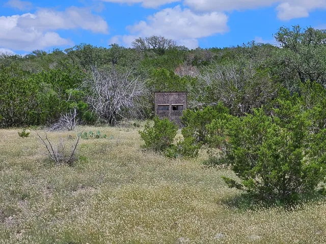 a view of a pathway both side of grassy field with shrub