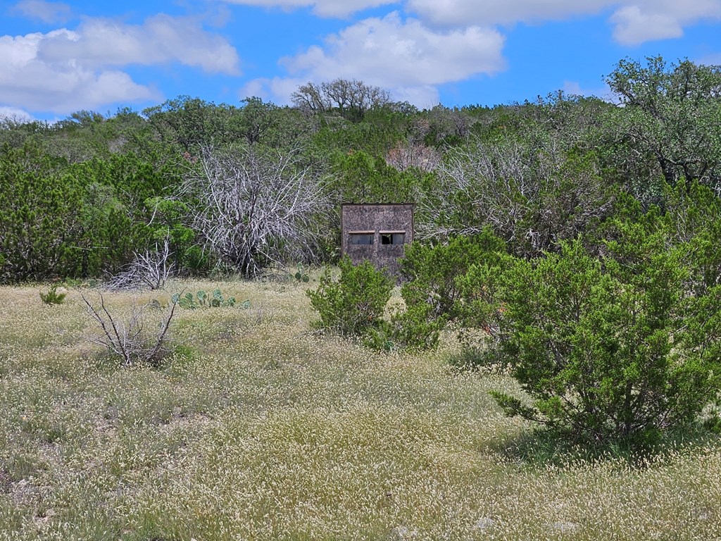 1100 Sd 45405 Rocksprings, TX 78880 - Photo 6 of 26 a view of a outdoor space with mountain view