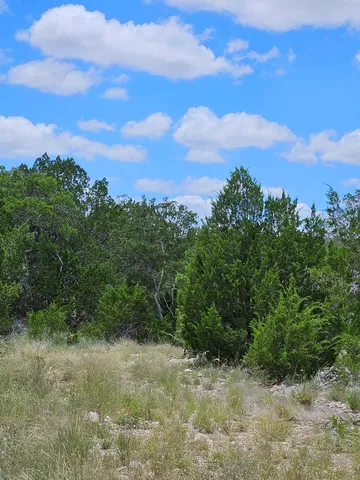 a view of a lush green forest with lush green forest