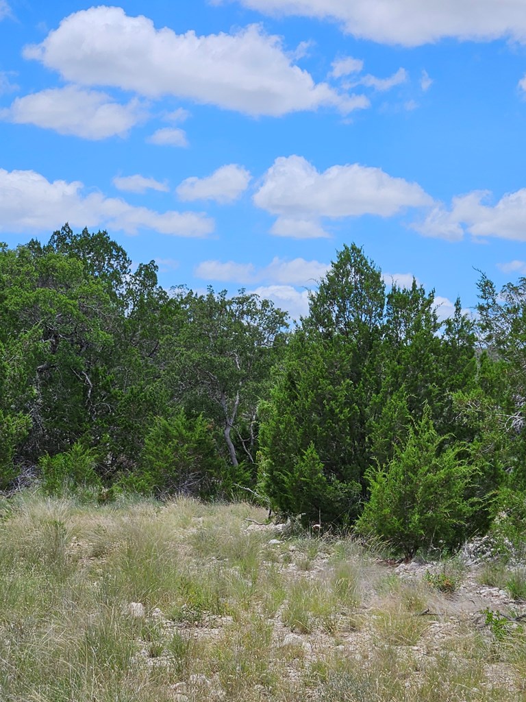 1100 Sd 45405 Rocksprings, TX 78880 - Photo 7 of 26 a view of a pathway both side of grassy field with shrub