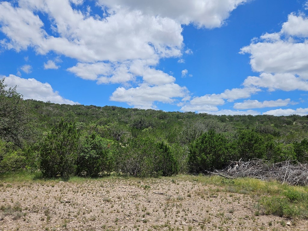 1100 Sd 45405 Rocksprings, TX 78880 - Photo 9 of 26 a view of a yard