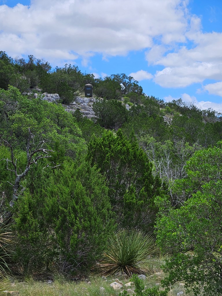1100 Sd 45405 Rocksprings, TX 78880 - Photo 10 of 26 a view of a city with lush green forest