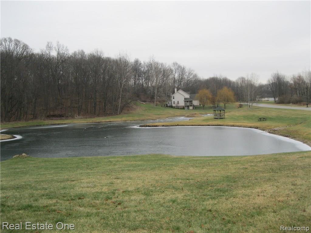 2447 Sundance Ridge, Unit 24 Howell, MI 48843 - Photo 7 of 9