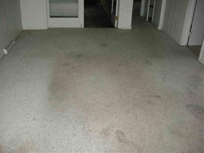 8232 Beecher Road Flushing, MI 48433 - Photo 3 of 3 20132861-2.JPG