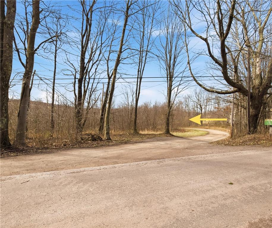 0 Warrens Mill Road Meyersdale, PA 15552 - Photo 3 of 27