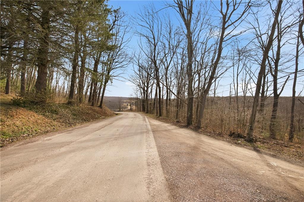 0 Warrens Mill Road Meyersdale, PA 15552 - Photo 4 of 27