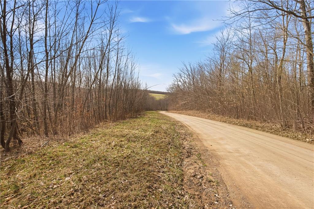 0 Warrens Mill Road Meyersdale, PA 15552 - Photo 6 of 27