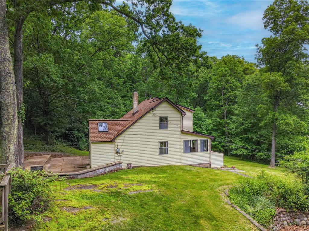 a view of a backyard with plants and large trees