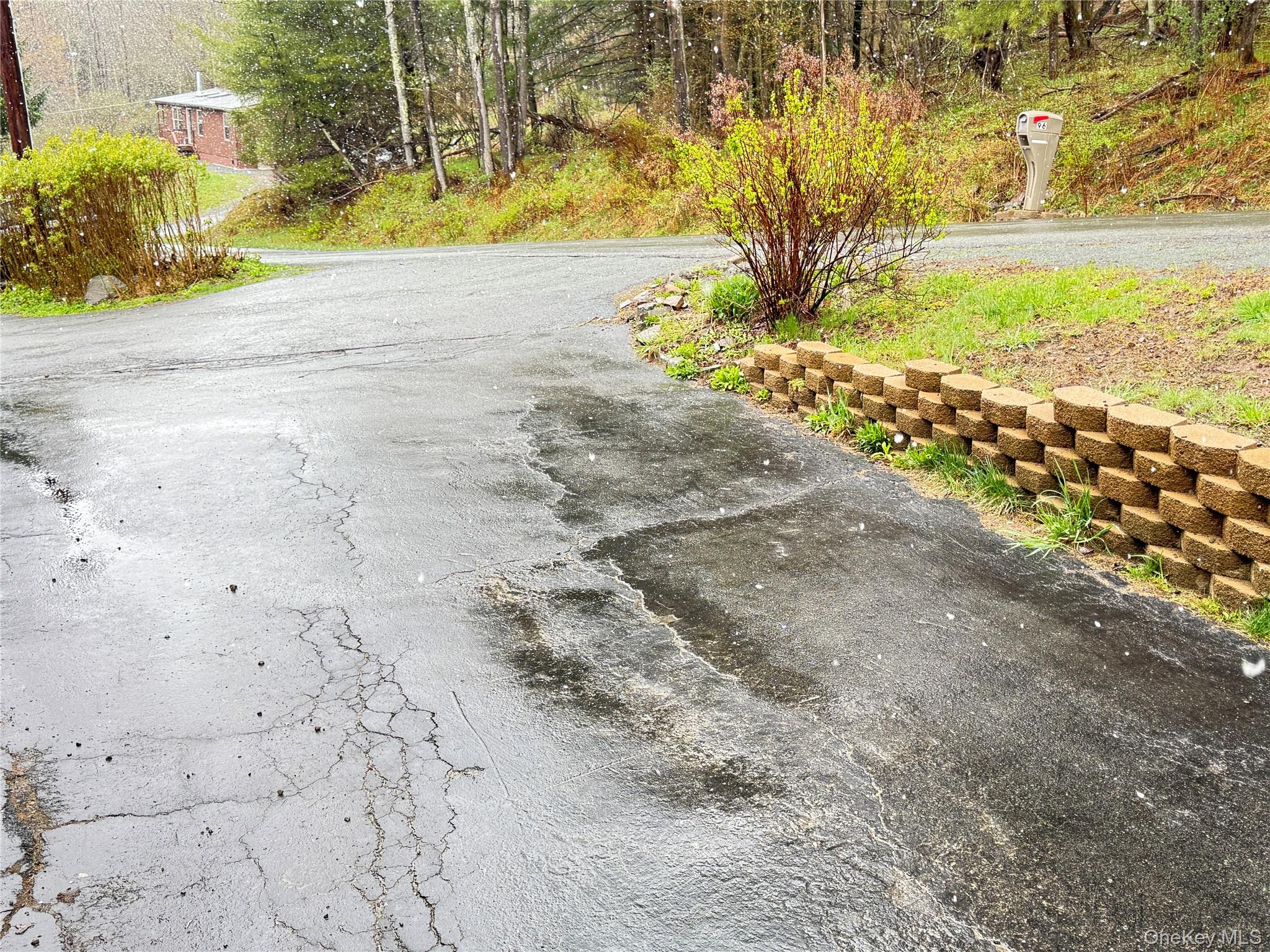 96 White Roe Lake Road Livingston Manor, NY 12758 - Photo 7 of 34 a view of a yard with a tree