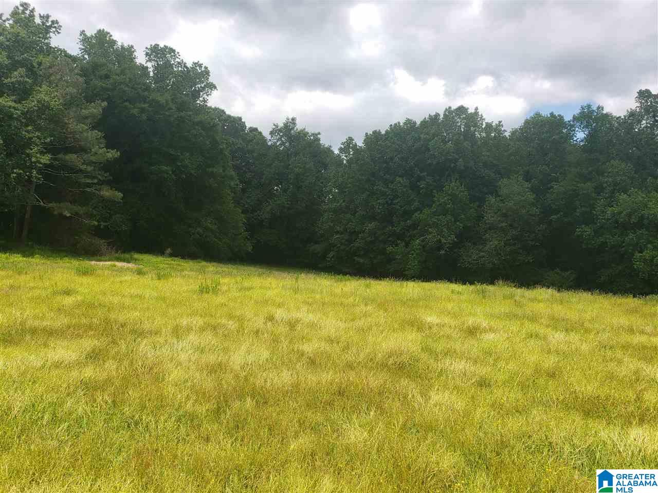 0 County Road 36 Heflin, AL 36264 - Photo 7 of 11