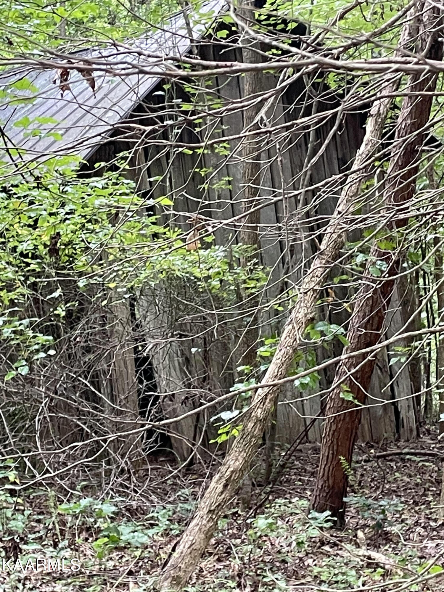 1356 Walnut Grove Church Road Dayton, TN 37321 - Photo 8 of 13 WGC3