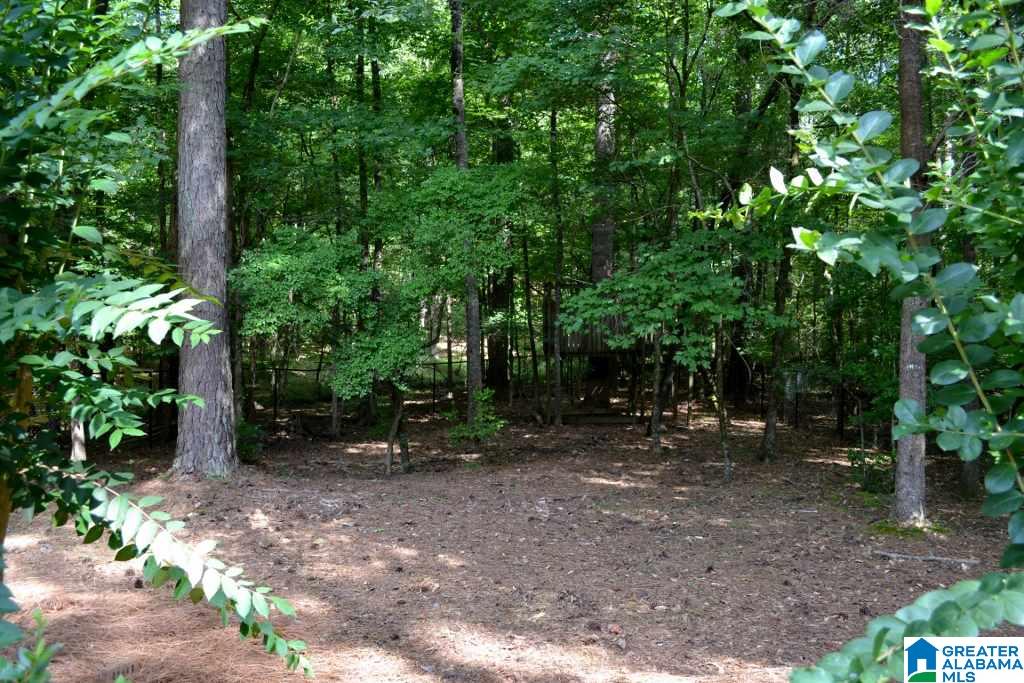 521 Bayhill Ridge Circle Birmingham, AL 35244 - Photo 33 of 35