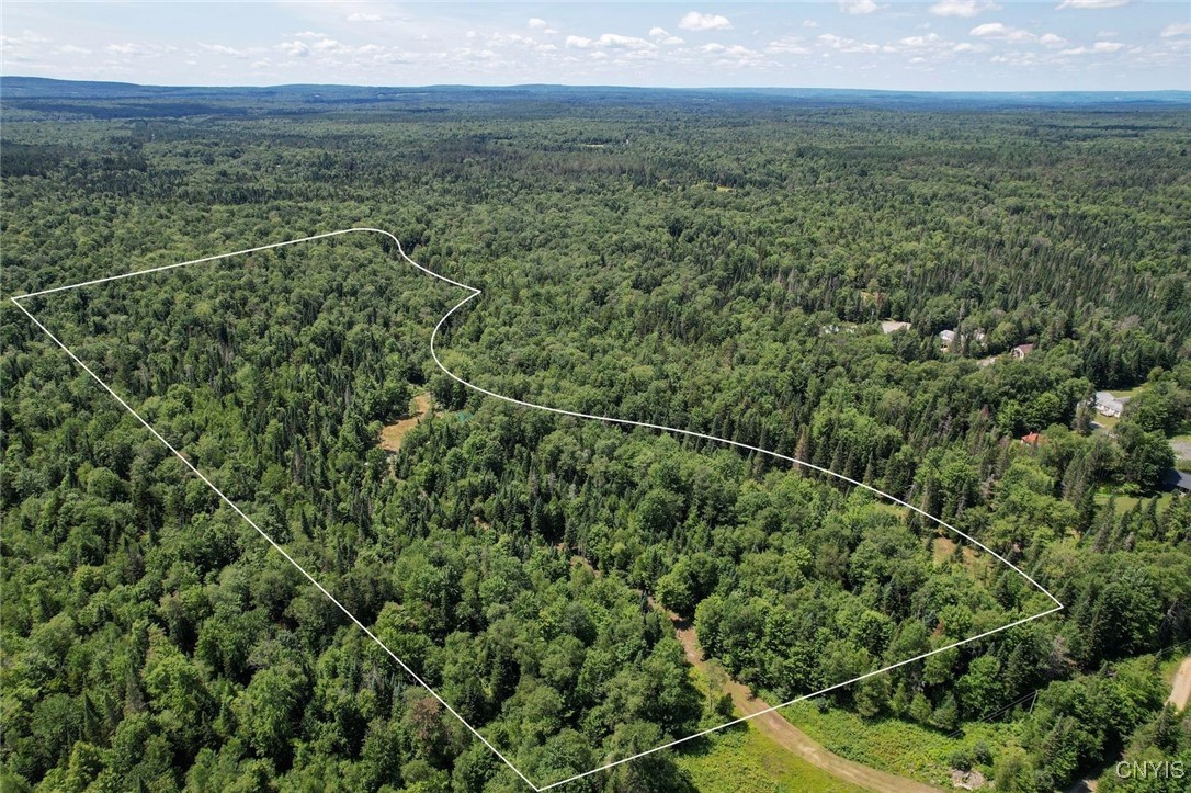 9161 Christmas Tree Lane Road Forestport, NY 13338 - Photo 2 of 48 Property outline
