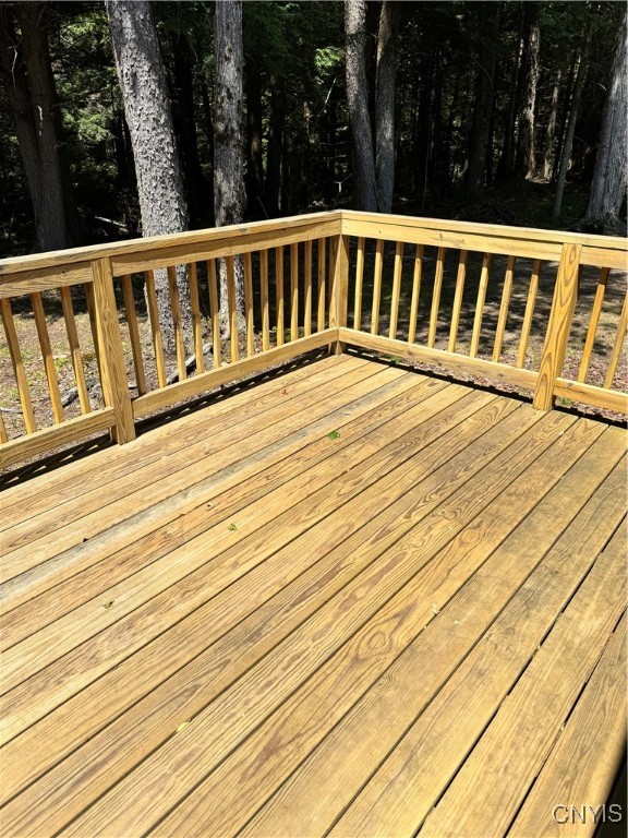 9161 Christmas Tree Lane Road Forestport, NY 13338 - Photo 22 of 48