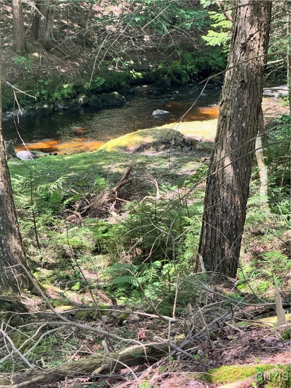 9161 Christmas Tree Lane Road Forestport, NY 13338 - Photo 24 of 48