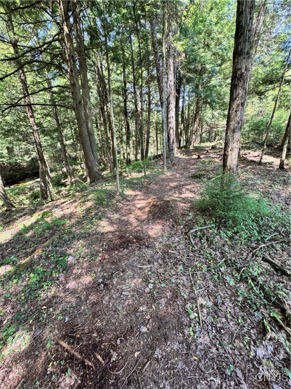 9161 Christmas Tree Lane Road Forestport, NY 13338 - Photo 25 of 48