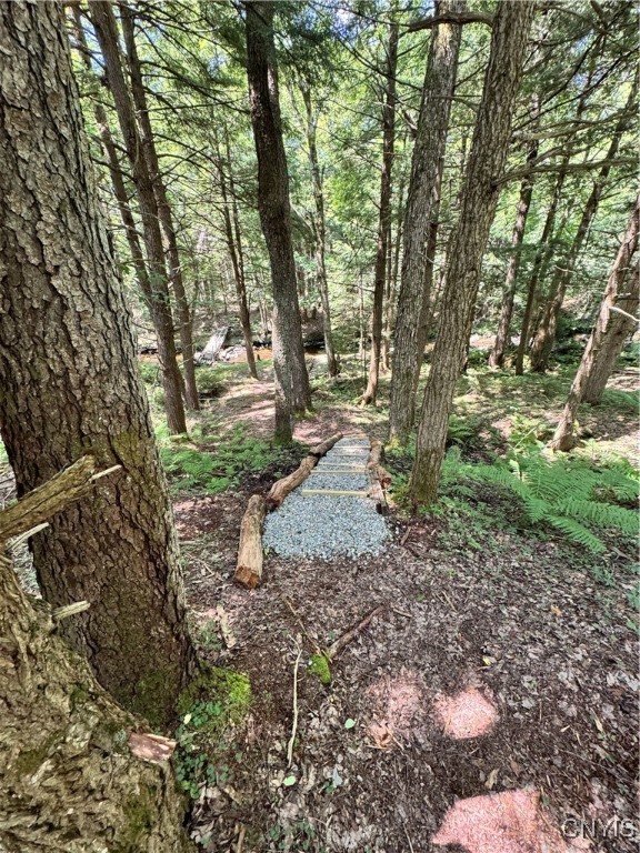 9161 Christmas Tree Lane Road Forestport, NY 13338 - Photo 26 of 48