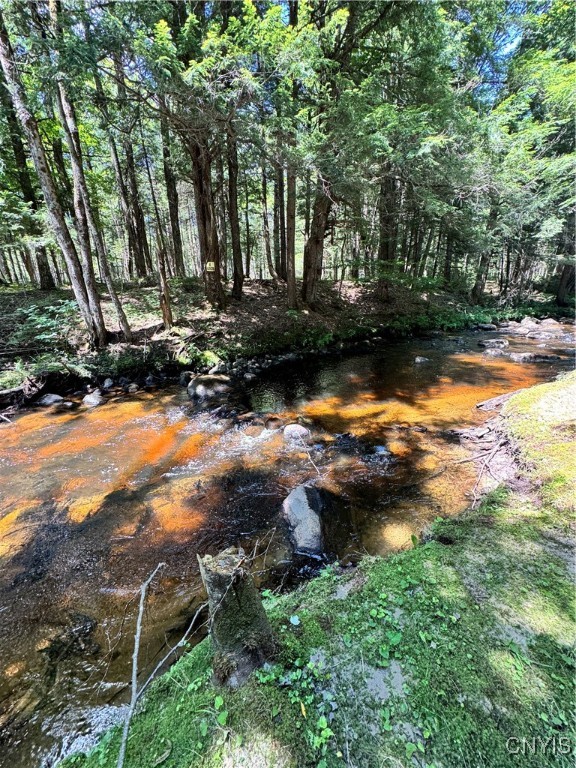 9161 Christmas Tree Lane Road Forestport, NY 13338 - Photo 28 of 48