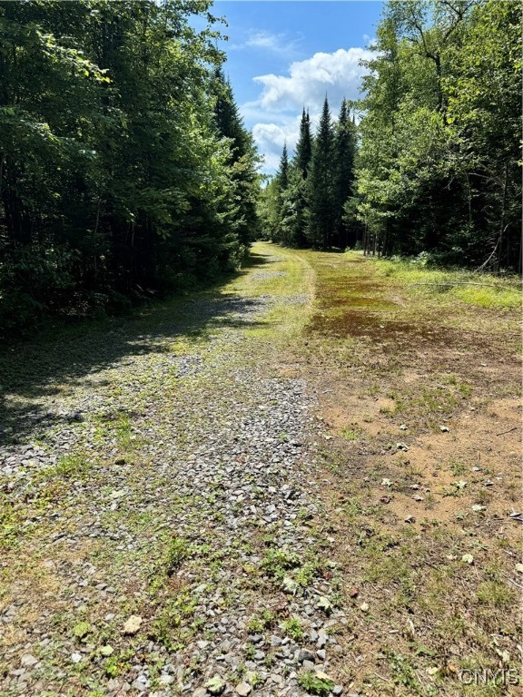 9161 Christmas Tree Lane Road Forestport, NY 13338 - Photo 35 of 48