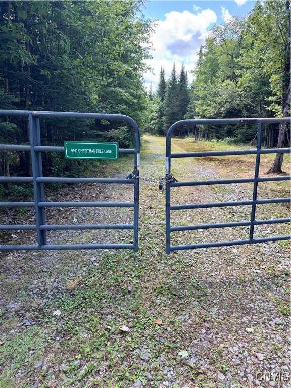 9161 Christmas Tree Lane Road Forestport, NY 13338 - Photo 36 of 48