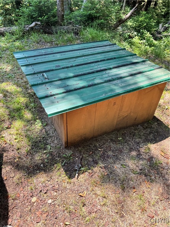 9161 Christmas Tree Lane Road Forestport, NY 13338 - Photo 38 of 48 Well pump house