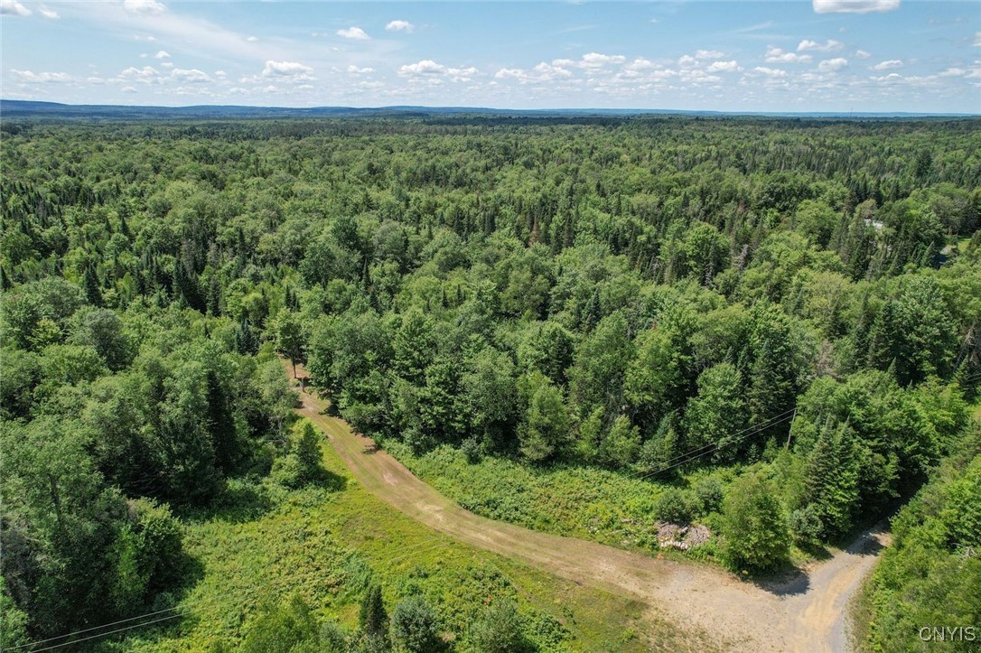 9161 Christmas Tree Lane Road Forestport, NY 13338 - Photo 40 of 48 Driveway entrance