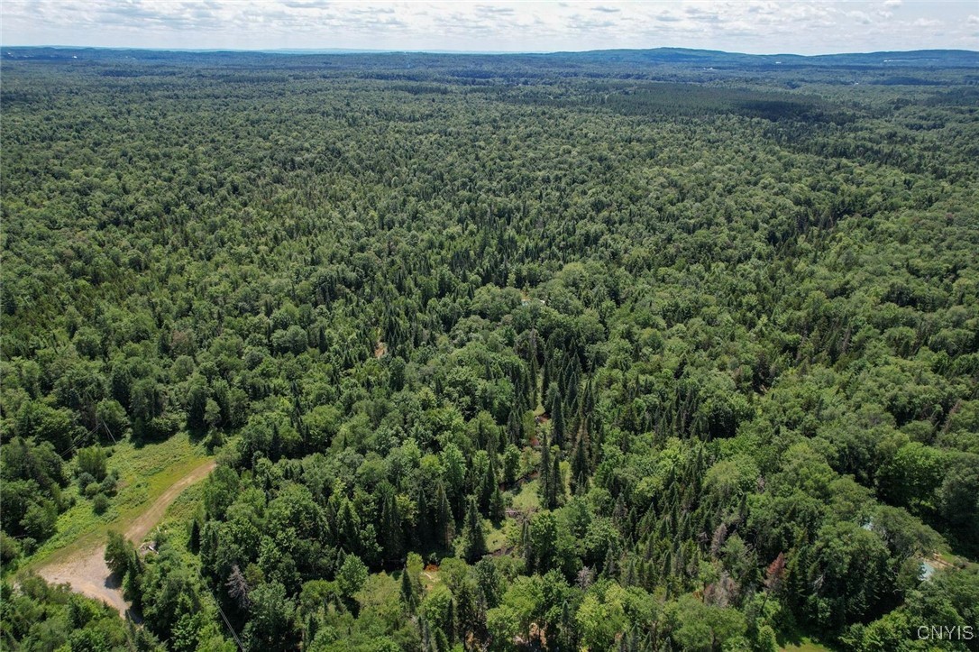 9161 Christmas Tree Lane Road Forestport, NY 13338 - Photo 41 of 48