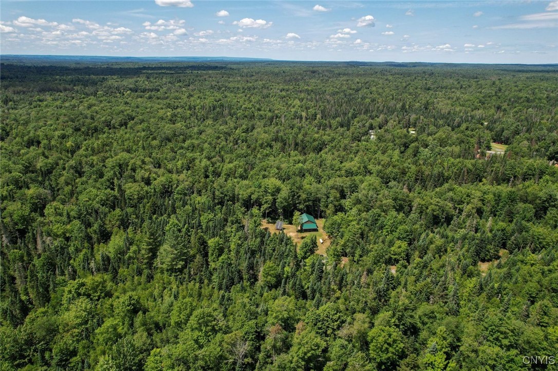 9161 Christmas Tree Lane Road Forestport, NY 13338 - Photo 44 of 48