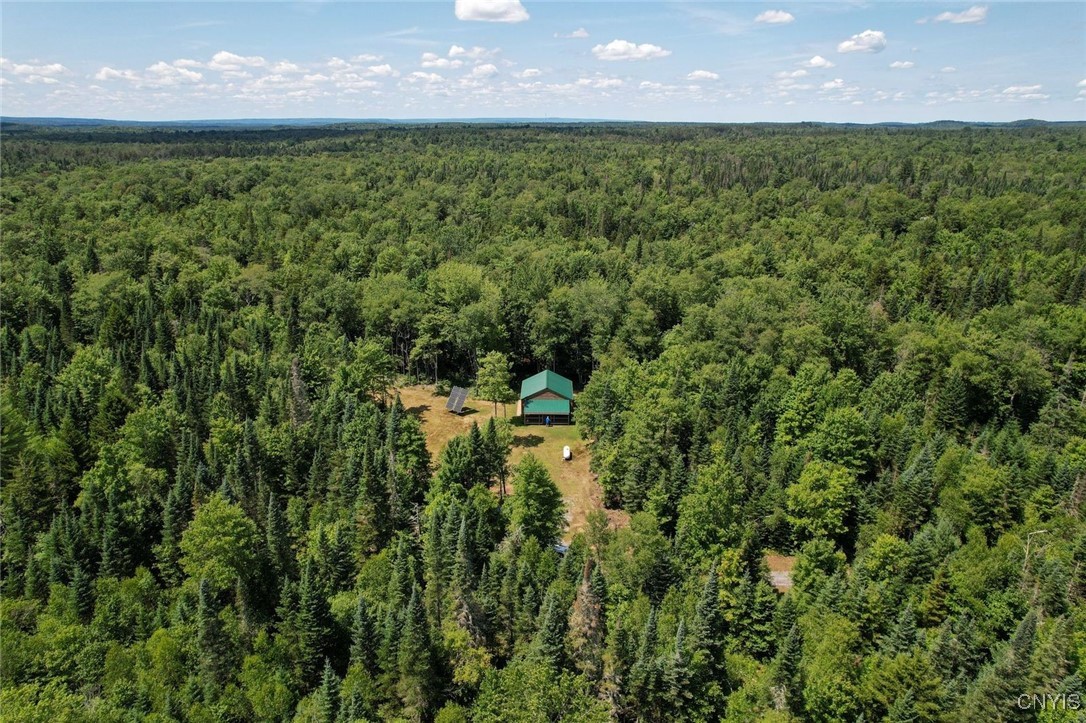 9161 Christmas Tree Lane Road Forestport, NY 13338 - Photo 46 of 48