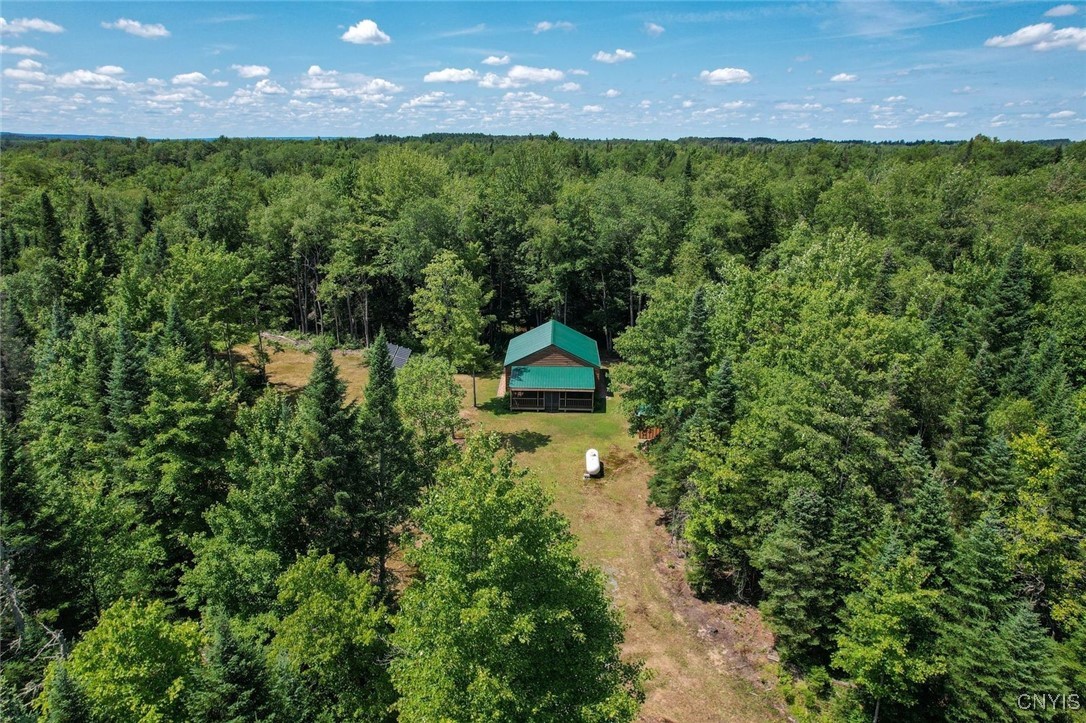 9161 Christmas Tree Lane Road Forestport, NY 13338 - Photo 10 of 48