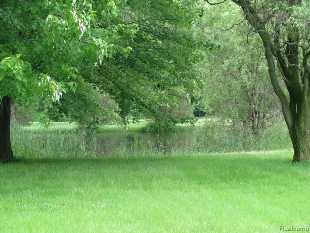 22151 Otter Road New Boston, MI 48164 - Photo 55 of 61 IMG_9661.jpg