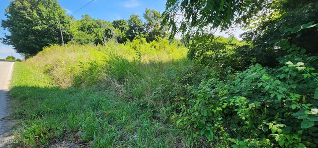 $40,000 | 0 A A A A Deakins Road, Jonesborough, TN 37659