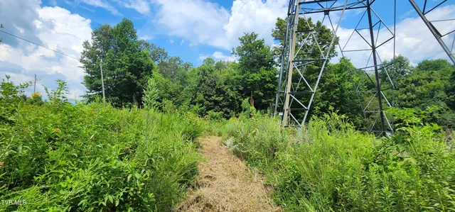 $40,000 | 0 A A A A Deakins Road, Jonesborough, TN 37659