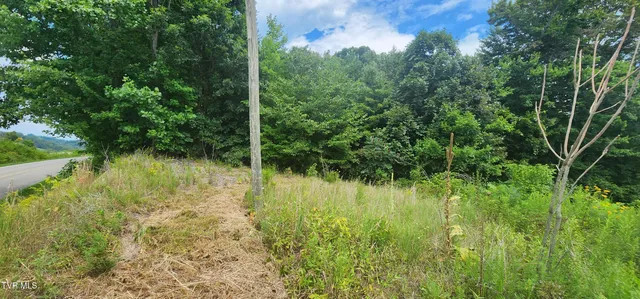 $40,000 | 0 A A A A Deakins Road, Jonesborough, TN 37659