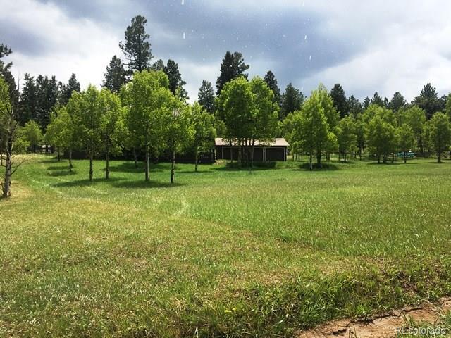 360 Pinon Road Bailey, CO 80421 - Photo 3 of 35 Gallery Image 3