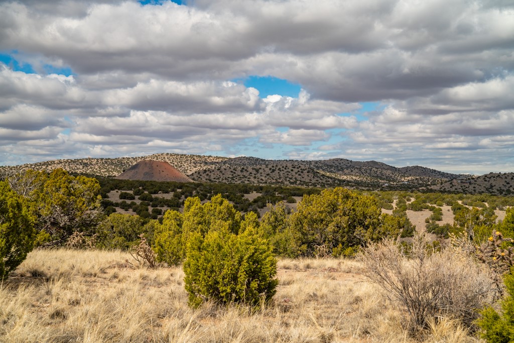 Tbd Hanuman Road Cerrillos, NM 87010 - Photo 17 of 33
