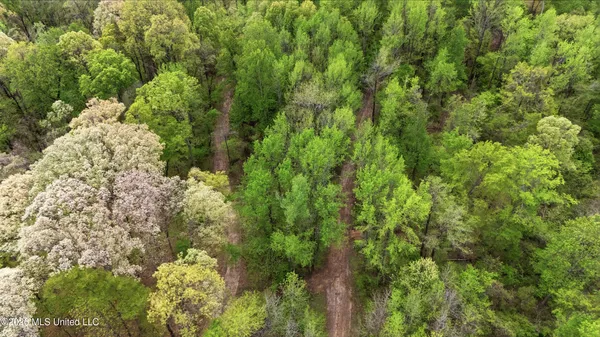 $390,000 | 5 Nail Road, Walls, MS 38680
