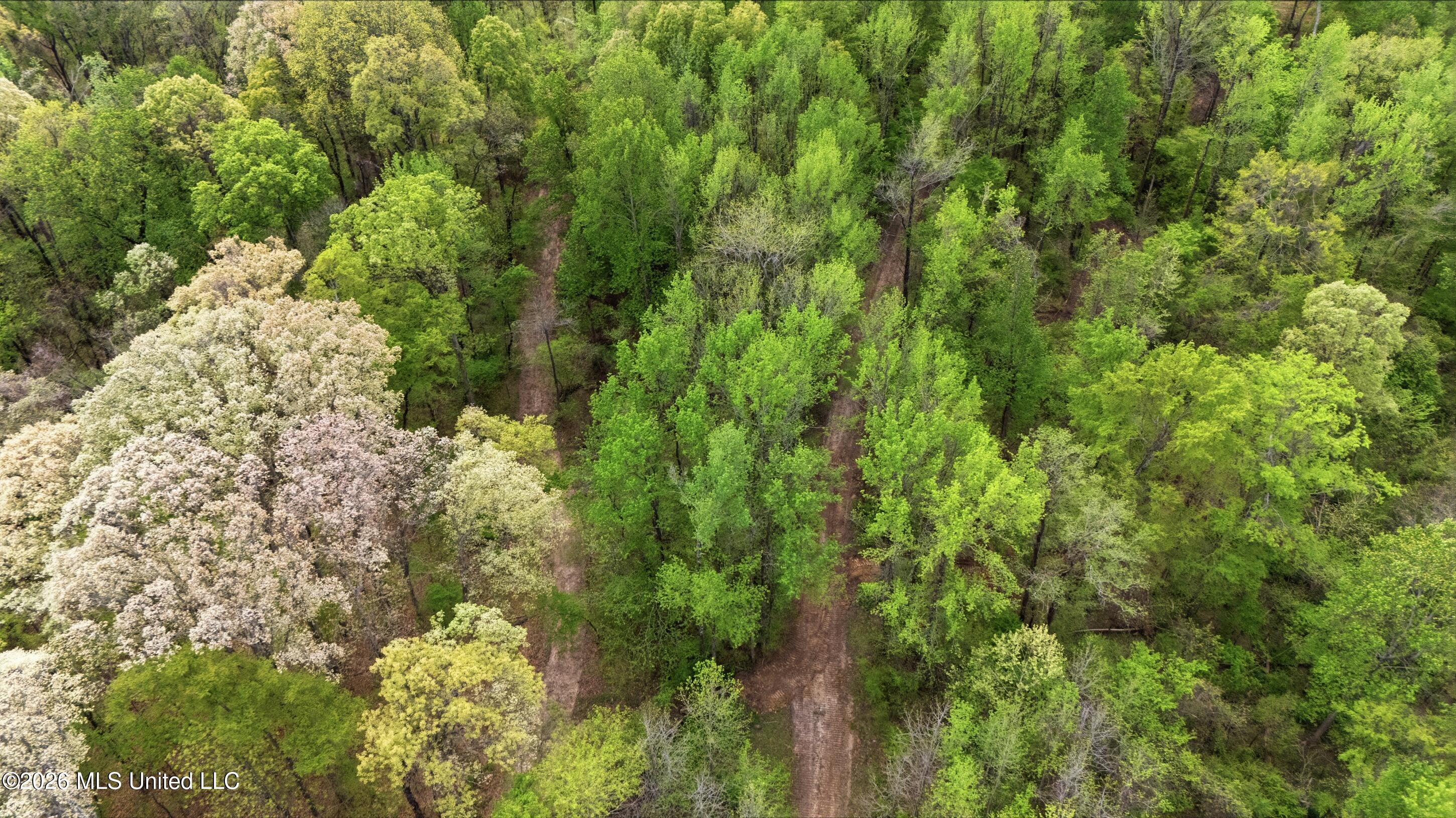 3 Nail Road Walls, MS 38680 - Photo 17 of 18 bartlett_graves_-_horn_lake_land_016