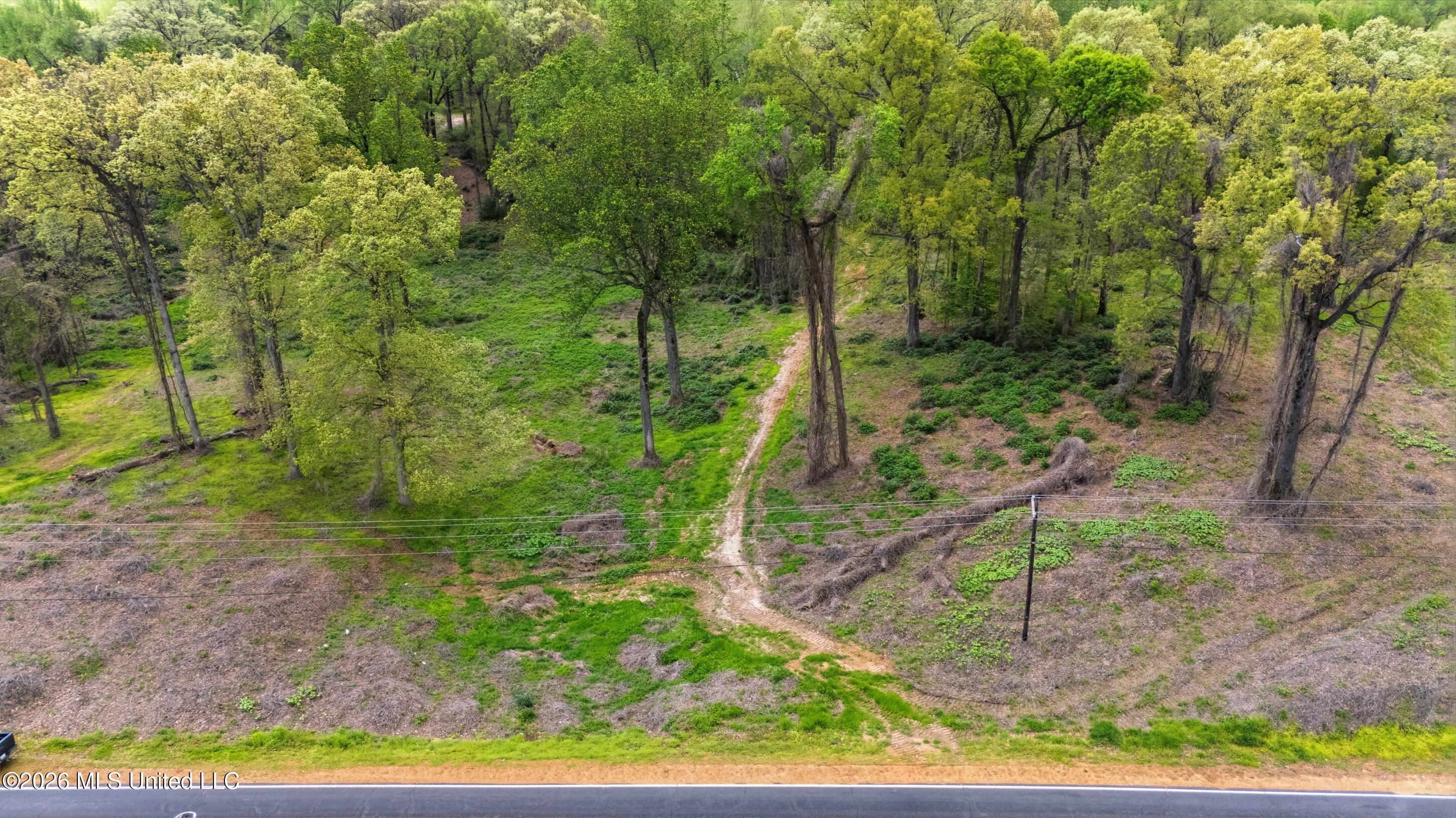 3 Nail Road Walls, MS 38680 - Photo 4 of 18 bartlett_graves_-_horn_lake_land_002
